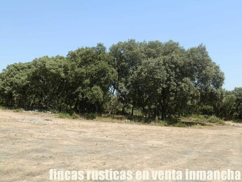 FINCA EN VENTA 118 HAS. RECREO CAZA A 140 KM. DE MADRID EN ALCOCER