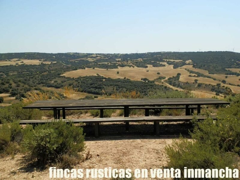 FINCA EN VENTA 118 HAS. RECREO CAZA A 140 KM. DE MADRID EN ALCOCER