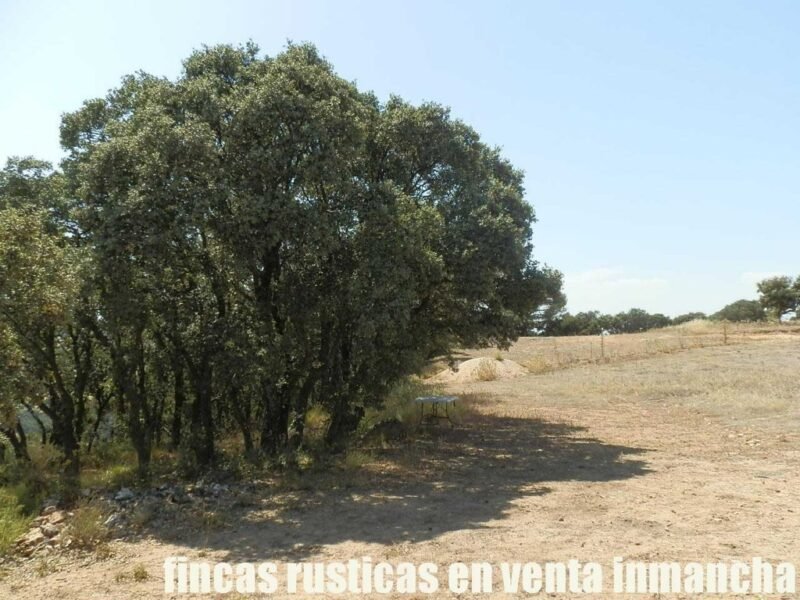 FINCA EN VENTA 118 HAS. RECREO CAZA A 140 KM. DE MADRID EN ALCOCER