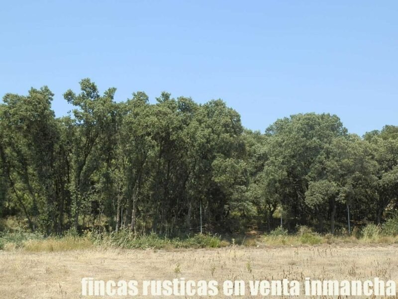 FINCA EN VENTA 118 HAS. RECREO CAZA A 140 KM. DE MADRID EN ALCOCER
