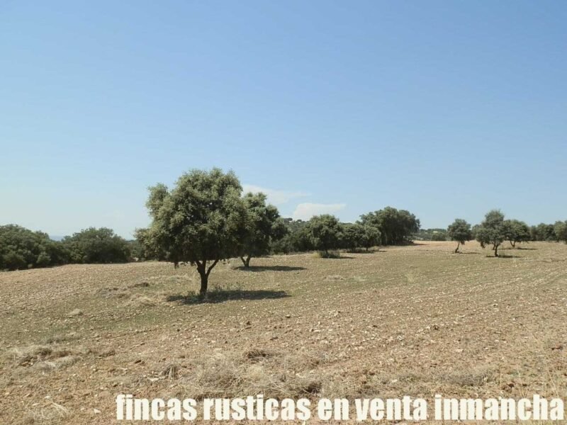FINCA EN VENTA 118 HAS. RECREO CAZA A 140 KM. DE MADRID EN ALCOCER